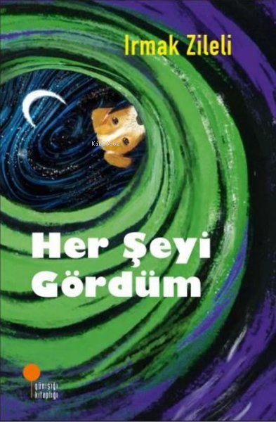 Her Şeyi Gördüm - Irmak Zileli | Yeni ve İkinci El Ucuz Kitabın Adresi