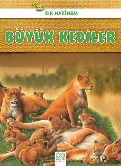 İlk Hazinem Büyük Kediler - Denise Ryan | Yeni ve İkinci El Ucuz Kitab