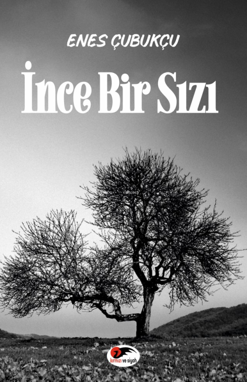 İnce Bir Sızı - Enes Çubukçu | Yeni ve İkinci El Ucuz Kitabın Adresi