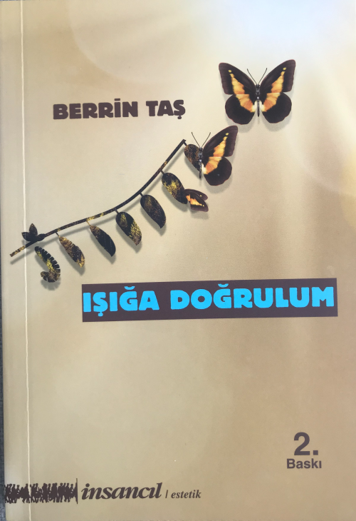 Işığa Doğrulum - Berrin Taş | Yeni ve İkinci El Ucuz Kitabın Adresi