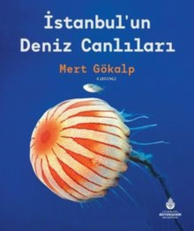 İstanbul’un Deniz Canlıları - Mert Gökalp | Yeni ve İkinci El Ucuz Kit