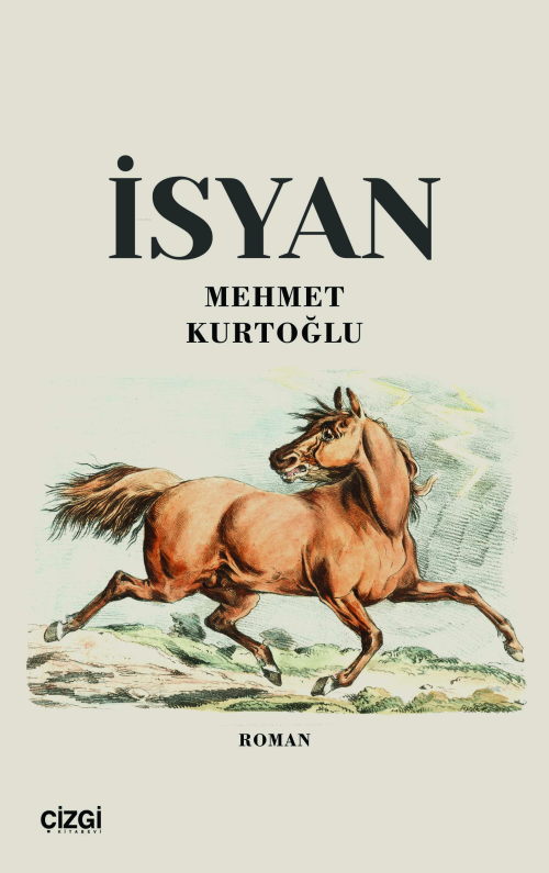 İsyan - Mehmet Kurtoğlu | Yeni ve İkinci El Ucuz Kitabın Adresi