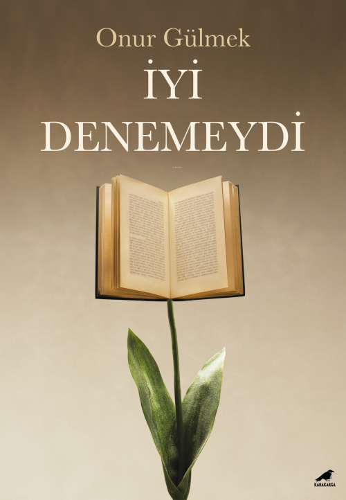 İyi Denemeydi - Onur Gülmek | Yeni ve İkinci El Ucuz Kitabın Adresi