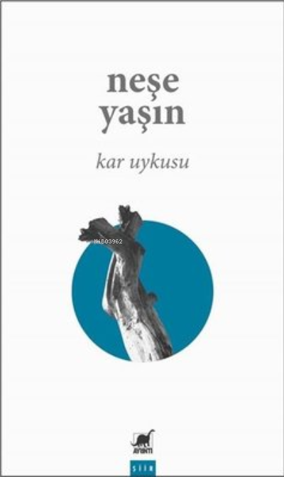 Kar Uykusu - Neşe Yaşın | Yeni ve İkinci El Ucuz Kitabın Adresi