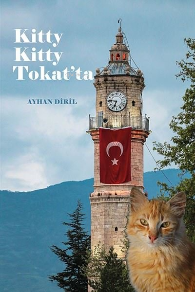 Kitty Kitty Tokat'ta - Ayhan Diril | Yeni ve İkinci El Ucuz Kitabın Ad