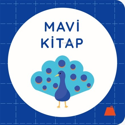 Mavi Kitap - Kolektif | Yeni ve İkinci El Ucuz Kitabın Adresi