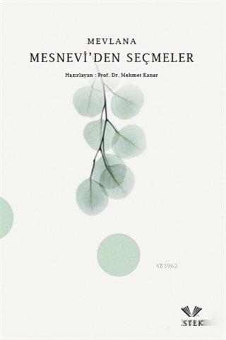 Mesnevi'den Seçmeler - Mevlana | Yeni ve İkinci El Ucuz Kitabın Adresi