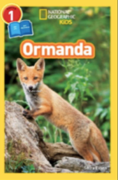 National Geographic Kids - Ormanda - Shira Evans | Yeni ve İkinci El U