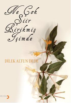 Ne Çok Şiir Birikmiş İçimde - Dilek Altun Dede | Yeni ve İkinci El Ucu