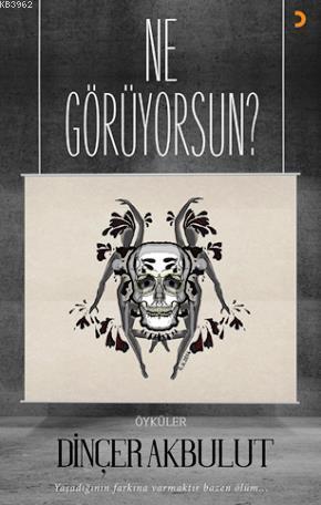 Ne Görüyorsun? - Dinçer Akbulut | Yeni ve İkinci El Ucuz Kitabın Adres