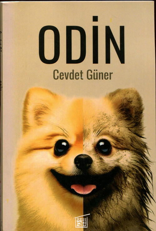 Odin - Cevdet Güner | Yeni ve İkinci El Ucuz Kitabın Adresi