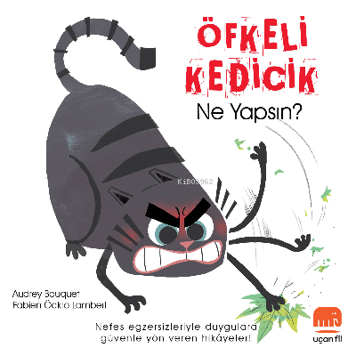 Öfkeli Kedicik Ne Yapsın? - Audrey Bouquet | Yeni ve İkinci El Ucuz Ki