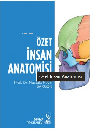 Özet İnsan Anatomisi - Mustafa Fevzi Sargon | Yeni ve İkinci El Ucuz K