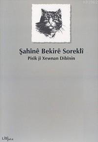 Pisîk Jî Xewnan Dibînin - Şahînê Bekirê Soreklî | Yeni ve İkinci El Uc