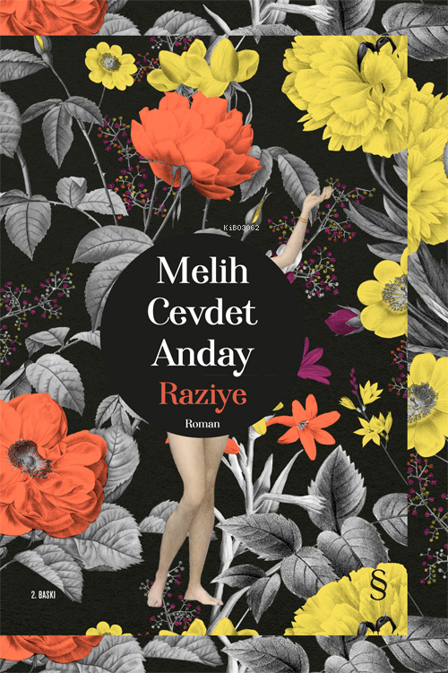 Raziye - Melih Cevdet Anday | Yeni ve İkinci El Ucuz Kitabın Adresi