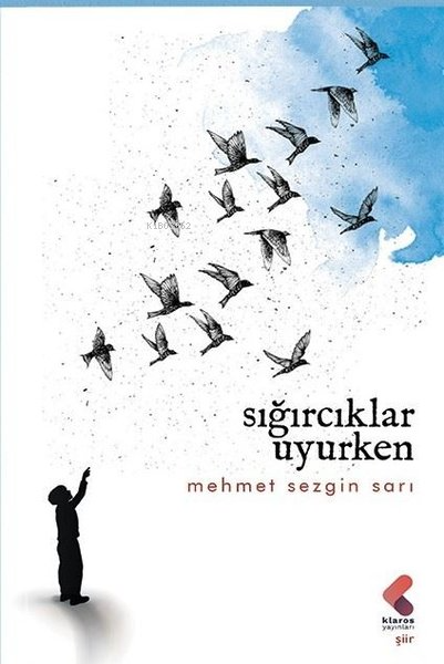 Sığırcıklar Uyurken - Mehmet Sezgin Sarı | Yeni ve İkinci El Ucuz Kita