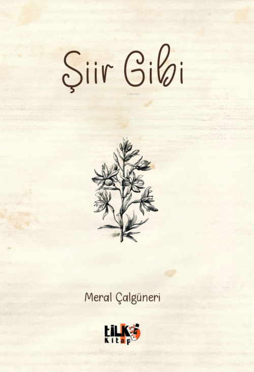 Şiir Gibi - Meral Çalgüneri | Yeni ve İkinci El Ucuz Kitabın Adresi