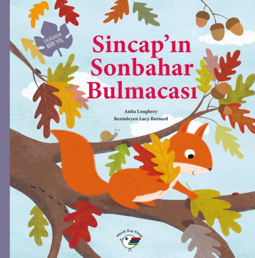 Sincap’ın Sonbahar Bulmacası – Doğada Bir Yıl - Anita Loughrey | Yeni 