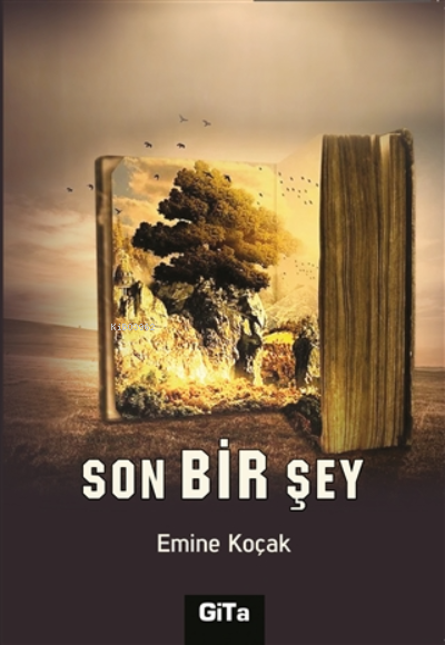 Son Bir Şey - Emine Koçak | Yeni ve İkinci El Ucuz Kitabın Adresi