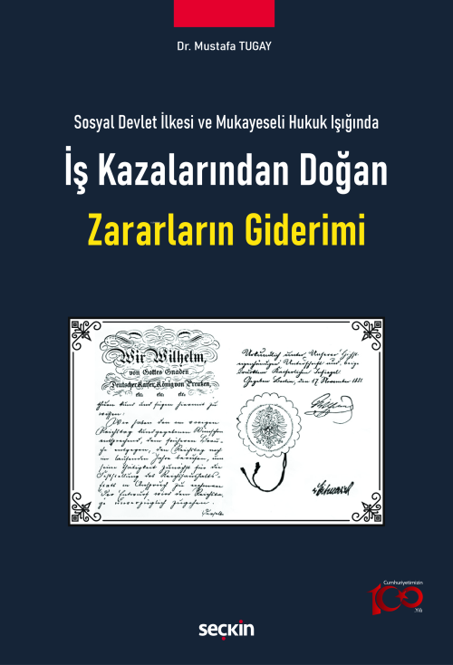 Sosyal Devlet İlkesi ve Mukayeseli Hukuk Işığında İş Kazalarından Doğa