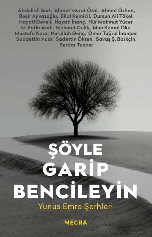 Şöyle Garip Bencileyin - Kolektif | Yeni ve İkinci El Ucuz Kitabın Adr