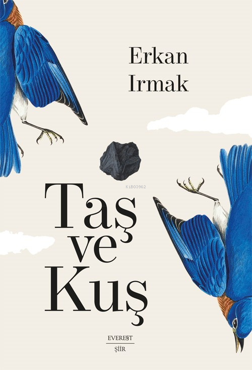 Taş Ve Kuş;Umman Üçlemesi - 1 - Erkan Irmak | Yeni ve İkinci El Ucuz K