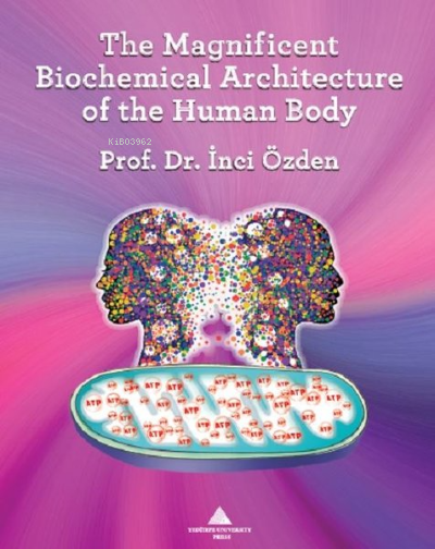 The Magnificent Biochemical Architecture of the Human Body - İnci Özde