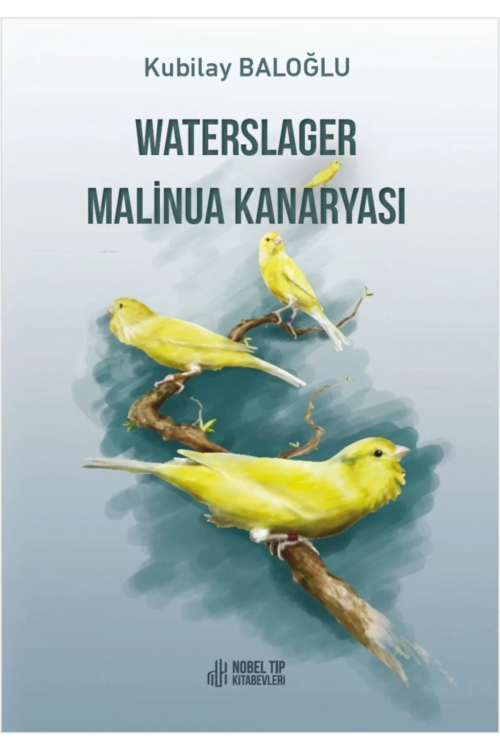 Waterslager Malinua Kanaryası - Kubilay Baloğlu | Yeni ve İkinci El Uc