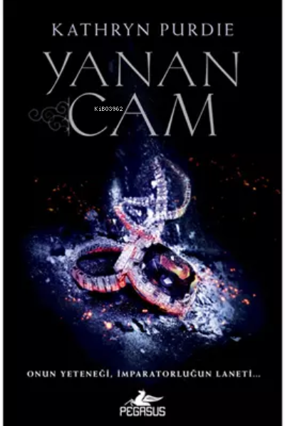 Yanan Cam (Yanan Cam Serisi – 1) - Kathryn Purdie | Yeni ve İkinci El 