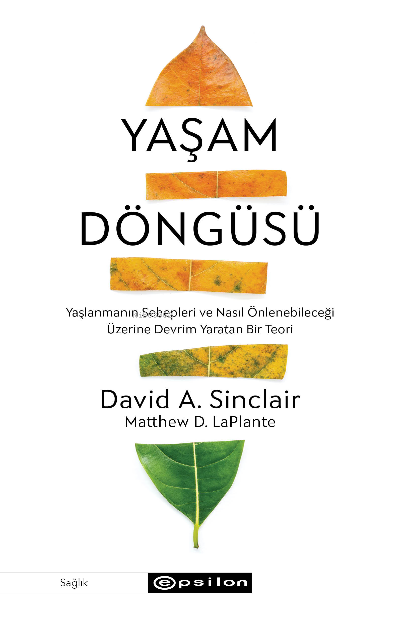 Yaşam Döngüsü ;Yaşlanmanın Sebepleri ve Nasıl Önlenebileceği Üzerine D