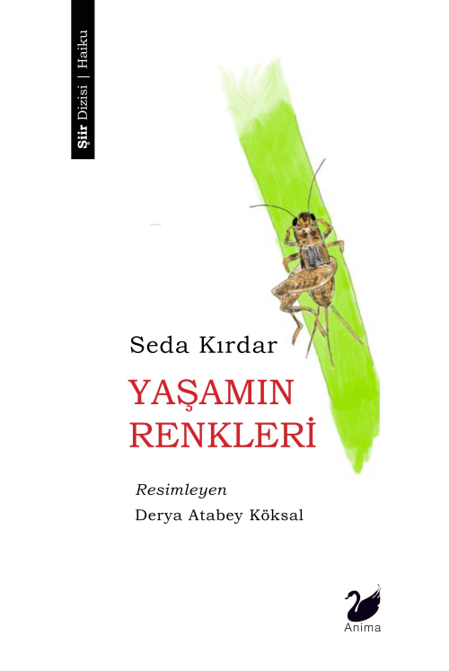 Yaşamın Renkleri - Seda Kırdar | Yeni ve İkinci El Ucuz Kitabın Adresi