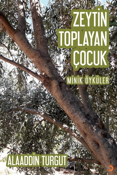 Zeytin Toplayan Çocuk - Alaaddin Turgut | Yeni ve İkinci El Ucuz Kitab